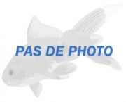 Copella arnoldi Karriärdrosa