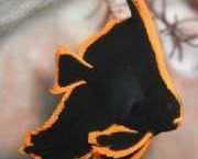 Platax pinnatus Röda chauve-sourris